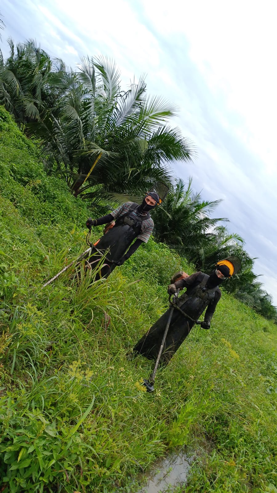 Técnico realizando mantenimiento a maquinaria agrícola